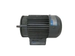 Abm Motor 4DBF56A-2 Unmp. Fixed Price $135.00.