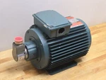 Reliance Electric Vector Motor P14A5803P, Hp, 1736 Rpm, 230/460 Vac, Ph. Fixed Price $455.00.