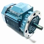 M3AA160M4 Abb 11/15.5KW Electric Motor, 3PH, 50/60HZ, 1745 Rpm, 3GAA162101-DBC. Fixed Price $2999.97.