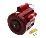 Bell & Gossett W11031 111031 Power Pack 1/6HP 1725RPM 115V New!!!. Fixed Price $500.00.
