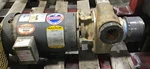 Baldor JMM3559T Hp 145JM Motor Ss Pump #51C33PR4. Fixed Price $399.99.