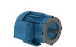 00218ET3E145TC-W22 Weg Electric Motors Motor, Ac, 2HP, 1750RPM, 143/5TC, Tefc,. Fixed Price $733.53.