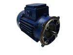 Rossi Hf 71A .6 B14 Nsnp. Fixed Price $499.00.