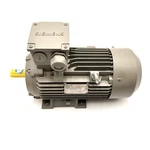 Siemens 1LE0003-1AA49-0AA4-Z Low Voltage Motor. Fixed Price $650.00.