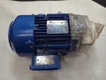 Motovario TG145TG4X Single-phase Motor- 60HZ 1740RPM 2.0HP- 200309083. Fixed Price $399.99.