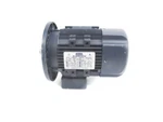 Leeson 1920246.00 N80T11FZ9A Unmp. Fixed Price $482.00.
