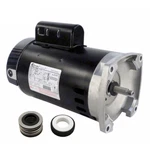 Puri Tech Motor And Seal Replacement Kit For Ao Smith B2852 PS-200. Fixed Price $203.62.