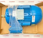 Weg W21 CC029A Motor Severe Duty (new). Fixed Price $510.00.