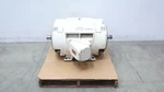 Reliance P44G0719C Motor 445TSC 100HP 1185RPM 230/460V-AC 3PH. Fixed Price $2000.00.