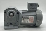 Brother H2L22T010-BMK4AX Induction Motor 0.25HP And Gear Reducer Ratio 10:1. Fixed Price $317.00.