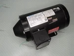 Marathon Y Ve 56H17T5302E K Electric Motor. Fixed Price $508.50.