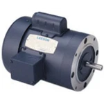 Leeson 101765.00 Ac Single Phase Totally Enclosed Motors. Fixed Price $439.26.
