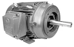 Techtop GR3-AL-TF-182JM-2-B-D-3 Pump Motor Hp 3600 Rpm 3PH 230/460 Volt. Fixed Price $911.58.
