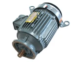 New Baldor VLECP4106T Motor 20HP 230/460V 3540RPM 256LP 1-5/8" Dia. Fixed Price $5000.00.