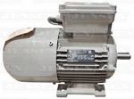 Elektromotorenwerk Brienz Ag CH-3855 R80M-8M, 50 Hz, 670 Rpm. Fixed Price $1200.00.