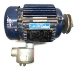 Marathon Motors Marinesevere Duty Explosion Proof DH143TTGN4026DDP Used. Fixed Price $525.31.