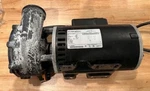 Spa Pump Motor Marathon Electric 5KCP49UN909SX. Fixed Price $50.00.