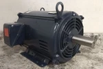 Marathon Motors 215TTDBD6001 Hp 3515 Rpm 230/460VAC General Purpose. Fixed Price $899.99.