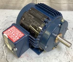 Marathon Motors 143THTN19033 General Purpose Hp 3-PHASE 1,735 Rpm 575V. Fixed Price $89.99.