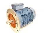 Weg AL100L-02 Engine Sn 1019817548. Fixed Price $232.47.