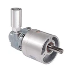 Gast 1UP-NRV-11-GR11 Stock 28/SKID Air Motor 33K663. Fixed Price $967.19.
