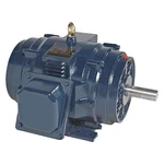 Marathon 254TTDBD6076 Three-phase General Purpose Motor, 1/2 Hp, Frame,. Fixed Price $1612.99.