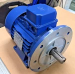 Mt Motori TN90S/2 35 ZZC3 2HP 265/460V 60HZ 1" Shaft. Fixed Price $309.99.