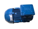 Weg W21 Premier Electric Motor 08SEP2021.1061970446. Fixed Price $628.07.