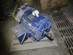Marathon 445T Frame, 200 Hp, 1790 Rpm, 460 Vac, 3PH Motor. Fixed Price $4000.00.