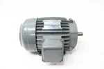 Teco Westinghouse AEHH8P Motor 145T 1-1/2HP 1730RPM 230V/460V-AC 3PH. Fixed Price $389.85.