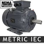 Techtop GR3-CI-TF-160LB3-2-BR-D-25 Motor Hp 3600 Rpm 230/460 V Frame. Fixed Price $2700.00.