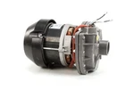 Champion Moyer Diebel Pump Assembly, 220V Hz Fir 4296 0512101-1 Free. Fixed Price $801.45.