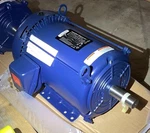 Marathon Motors 215TTFBD6027 General Purpose 10HP. Fixed Price $495.00.