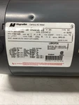 Magnetek Century 3/4 Hp 3-PHASE Motor LA56C C-face 10-142218-02 H257 T-420S. Fixed Price $299.99.