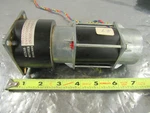 Neckar G562/Z6/H13089/IP40 24V 1650MA/P2=23 3000RPM Gear Motor *xlnt*. Fixed Price $299.99.