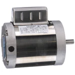 Leeson 6439191261 Boat Hoist Duty MOTOR,3/4 HP,9.8/4.9 798KN9. Fixed Price $815.70.