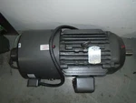 ZDM2334T-5 Baldor Vector DUTY-20HP-575V-1735RPM C/w Encoder, 4P Tebc 256TC. Fixed Price $999.00.