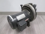 A.o. Smith, P561 2SE7, Electric Motor, 60HZ, Used. Fixed Price $350.00.