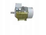 Siemens 45KW 1475RPM 225M 1LA6 223-4AA70Z. Fixed Price $4048.38.