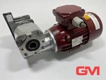Cantoni Electric Motor Skh 63X-402 + Attachment Gear 3842527867. Fixed Price $421.20.