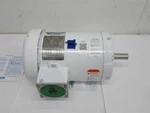 Lesson 121865.00 C143T17WB4A Washguard Washdown Motor, Phase, 1/3/4 H.p. Fixed Price $380.00.