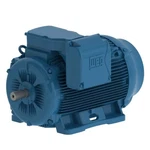 150 Hp Weg Motor 1800 Rpm Metric Iec 460/380-415V Tefc 11018ET3Y280S/M-W2. Fixed Price $10980.00.