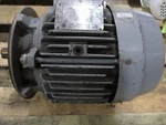 Sterling EW0032FHA Electric Motor 3PH 230/460V. Fixed Price $228.00.