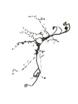 2010-2019 Aston Martin Rapide Ddaj Oem 6.0L Engine Motor Bay Main Wiring Harness. Fixed Price $749.45.