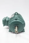 Leeson C182T17FB42E 171320.60 Motor 1770RPM 3HP 3PH 230/460V-AC. Fixed Price $1013.55.