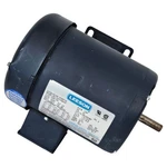 Leeson Electric Motor C4T17FB10C 1/3 Hp Phase 1800 Rpm Tefc 208-230/460V 15LB. Fixed Price $350.00.