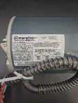 Marathon Motor Alliance M412519P /3HP 3PH. Fixed Price $591.99.