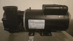 Ge 5KCR49WN3101AX Hp Spa Pump Motor With Wet End 230V 56HZ Fr. Fixed Price $99.00.