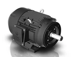 Techtop GR3-CI-TF-324TC-4-BR-D-40 Motor Hp 1800 Rpm 3-PH 230/460 Volt. Fixed Price $3127.20.