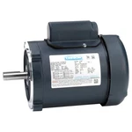 Leeson 101766.00 General Purpose MOTORS,1/3 HP,60HZ 807AN5. Fixed Price $384.75.